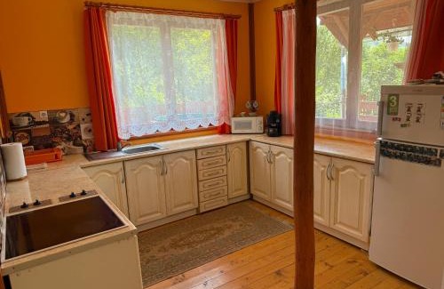 Martinis House | Heart of the Forest Penthouse