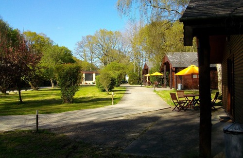 Ashford House | Inviting Woodland Lodge with Indoor Pool and Pet-Friendly Stay