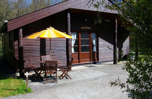Ashford House | Inviting Woodland Lodge with Indoor Pool and Pet-Friendly Stay