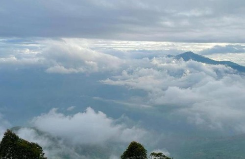 Kaski House | Discover Heaven and Hills Forest Resort: Pet-Friendly Escape