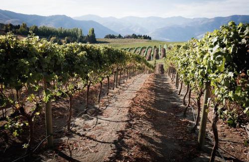 Chelan Apartment | Pet-Friendly Retreat with Heavenly Views and Great Reviews