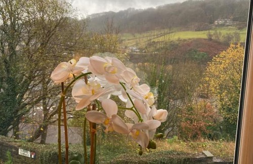 Wadsworth House | Hebden Royd House: Guest Rated 10/10 in Hebden Bridge