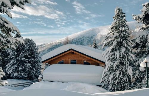Reichenau Ski Chalet | Pet-Friendly Heidi Chalets Falkert with Oceanfront Views