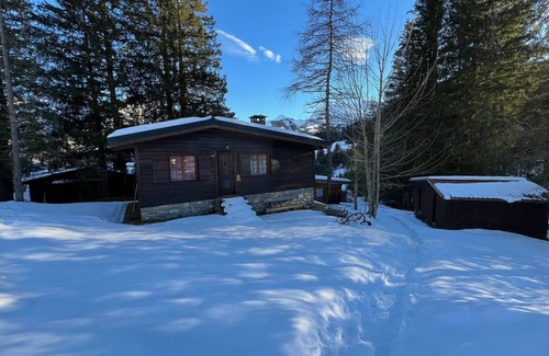 Adelboden Ski Chalet | Cozy Chalet Retreat in Adelboden: Family & Pet Friendly