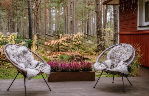 Elbiku House | Heiniku Home: 4-Star Retreat with Pet-Friendly Amenities