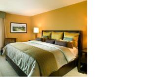 New Brunswick Hotel | Pet-Friendly Heldrich Hotel with Spa & Conference Center