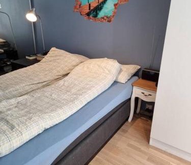 Grunerlokka Apartment | Explore Hele Leiligheten in Vibrant Grünerløkka