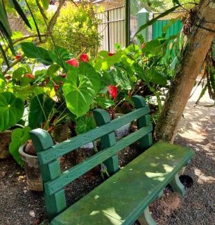 Dickwella Hostel | Top-Rated Helena Hostel with Ocean Views & Family Amenities
