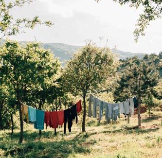 Lin House | Discover Helga's Guesthouse: Pet-Friendly Beach Retreat