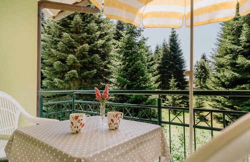 Wurding Apartment | Bright Two-Room Apartment with Balcony and Family Amenities