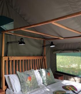 Paraa Other | Experience Hemingway's Tented Camp with Oceanfront Bliss