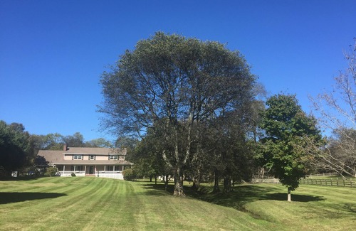 Hendersonville House | Unforgettable Hendersonville Ranch Getaway Near Music City