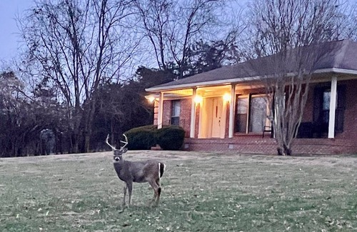 Hendersonville House | Inviting Hotel in Hendersonville, TN Near Nashville