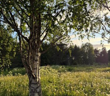 Oulu Apartment | Henniina V Kotoisa - Free parking & Easy Check-in