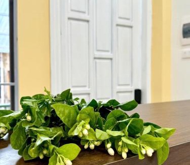 Hoan Kiem Apartment | Heo may - 3rd Floor room - Homestay Thu Hanoi