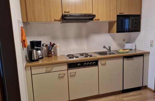 Menzenschwand-Hinterdorf Apartment | Relaxing Escape at A6 Albmatte-FEWO with Sauna & Pool