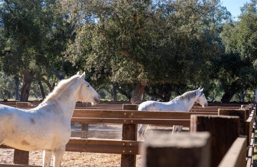 Courelinhas House | Experience Herdade das Onzenas de Cima with Ocean Views