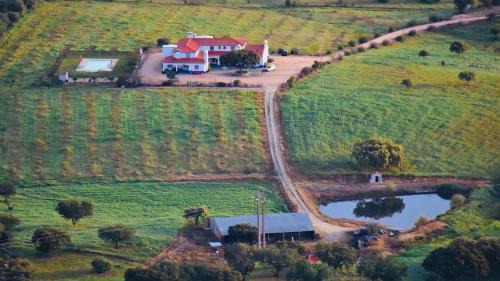 Terena House | Discover Herdade Dos Barros: Family-Friendly Getaway