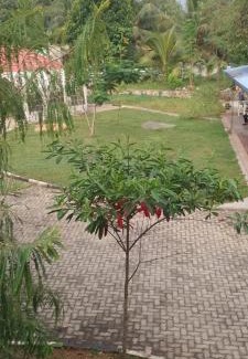 Anuradhapura Hotel | Heritage City Hotel Anuradhapura