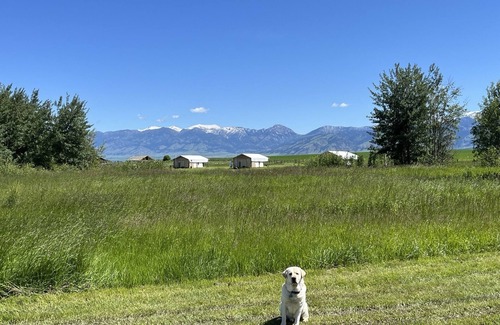 Bozeman Cabin | Experience Heritage Ranch 'Elk' Tent: Pet-Friendly Retreat