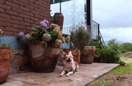 Tapalpa House | Relaxing Cabin Retreat in Tlapalpa - Pet Friendly Escape