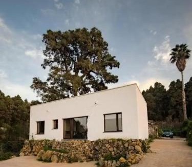 La Guancha House | Hermosa casa con vistas al jardin