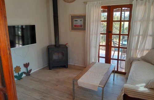 Villa Icho Cruz House | Riverside Retreat: Pet-Friendly Home with Pool & Ocean Views