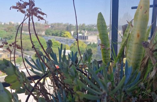 Centro Apartment | Scenic Apartment with Breathtaking Views in Rosario