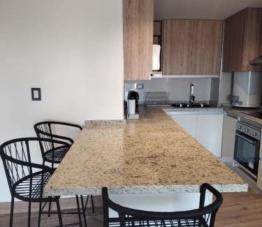 Mendoza City Center Apartment | Elegant Stay at Torre Leloir: 10/10 Rated & Family-Friendly