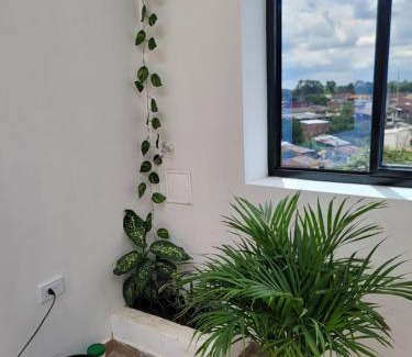 Armenia Apartment | Inviting Apartments with Pet and Child-Friendly Amenities