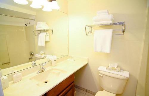 Campbell River Hotel | Relax at Heron's Landing Hotel: Pet-Friendly Oceanfront Retreat