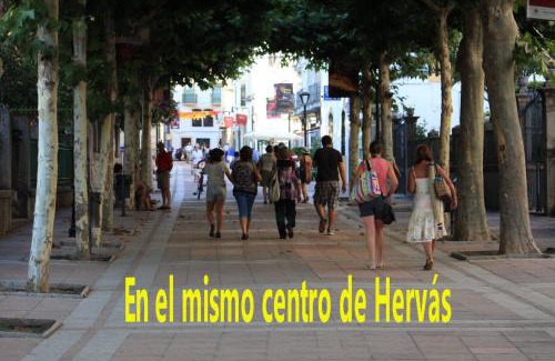 Hervas Apartment | Family-Friendly Hervas Centro Apartment with High Guest Rating