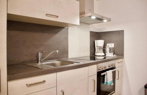 Zweibruecken Apartment | Modern Herzog Wolfgang Studios: Child-Friendly Comfort