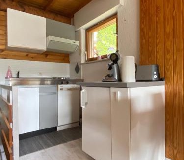 Todtnauberg Apartment | Family-Friendly Herzstück with Outstanding 8.8 Rating