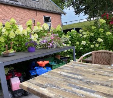 Schuwacht Bed & Breakfast | Discover Het Boenhok Logies: Family-Friendly Retreat