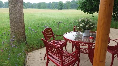 Hollandsche Rading Villa | Discover Het Findament: Pet-Friendly Tiny House Retreat