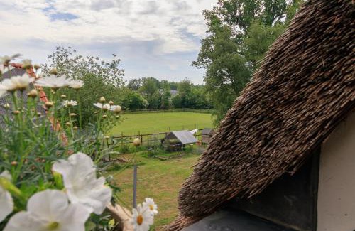 Havelte Apartment | Discover Comfort at Het Grote Paard - 4-Star Stay Awaiting!