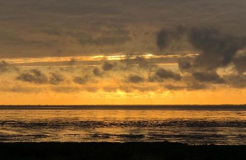 Den Oever Bed & Breakfast | Discover Het Huis van de Wadden: Rated 9/10, Family-Friendly