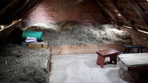 Berka/Werra Apartment | Unique Farm Stay with Community Bath and Cozy Hay Beds