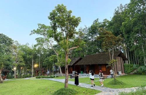 Vi Xuyen Cabin | HGNI Valley - Thung Lũng Tự Do