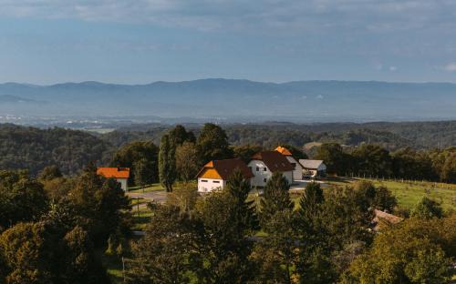 Brezice House | Pet-Friendly Retreat at Hiša na Ravnah - Rated 9.9/10
