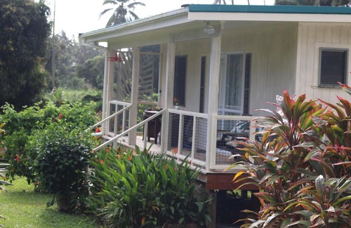 Matavera House | Experience Hibiscus Homely Farm Cottage with Bikes & Breakfast