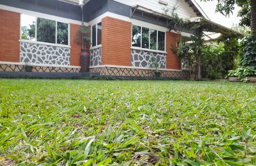 Bukoto House | Discover Hibiscus House: Pet Friendly with Perfect 10 Score