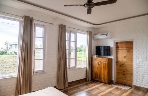 Kotabagh Apartment | Hibiscus: Pet-Friendly Haven with a 9/10 Guest Rating