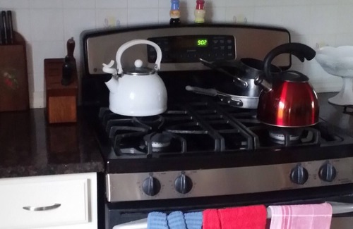 Butztown House | Hidden Gem, 2 BR 2 BA Sleeps 4, Wooded area . No Pets Parking for 1 car only