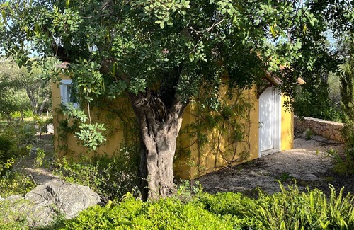 Santo Estevao Villa | Discover Privacy at This Hidden Gem with Great Amenities