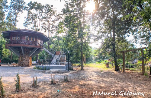 Nong Nam Daeng House | Enchanting Treehouse Retreat in Khao Yai - Pet Friendly!
