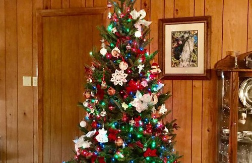 Hiawassee Bed & Breakfast | Experience Hidden Valley B&B: Rated 10/10 with Breakfast