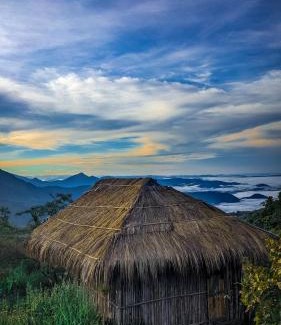 Todupulai House | Pet and Child Friendly Retreat at Hideout Hills