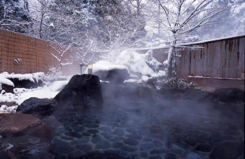 Aizuwakamatsu Hotel | Discover Higashiyama Park Hotel Shinfugetsu: Family-Friendly Retreat